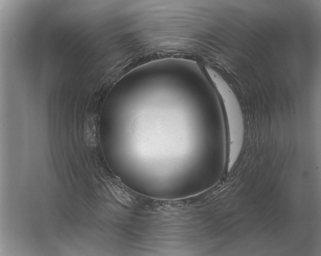 X0000062910868200601271737