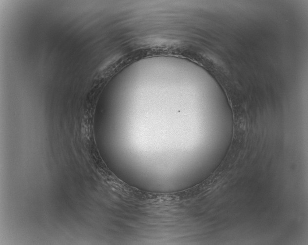 X0000062910869200601271737