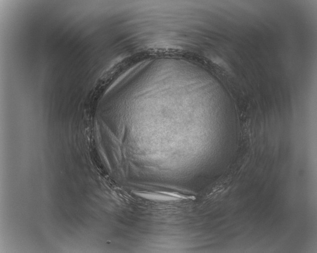 X0000062910870200601271737