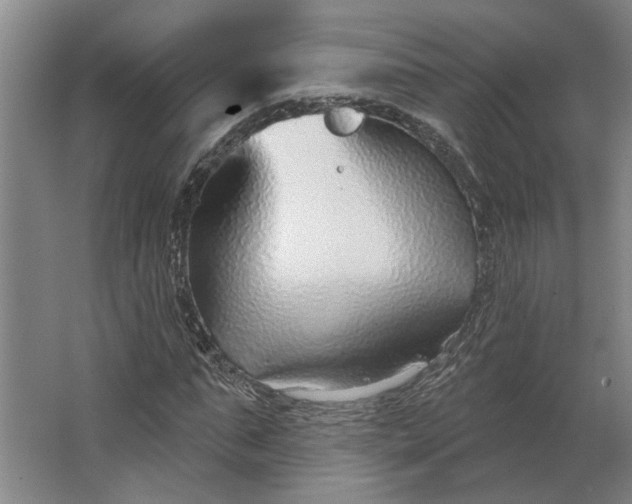 X0000062910871200601271737