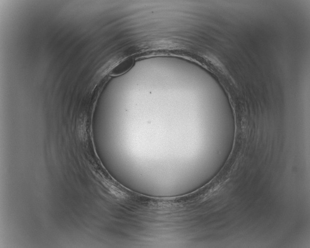 X0000062910873200601271737