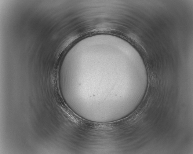 X0000062910874200601271737