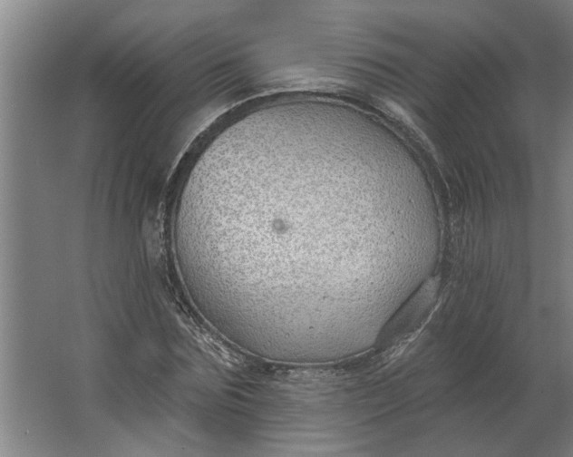 X0000062910875200601271737