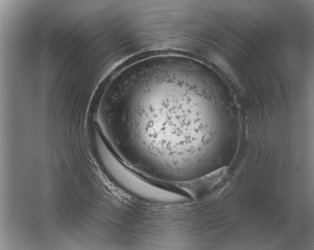 X0000062910876200601271737