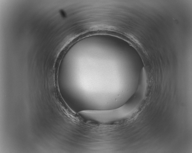 X0000062910877200601271737