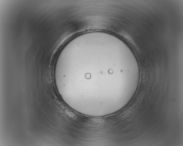 X0000062910878200601271737