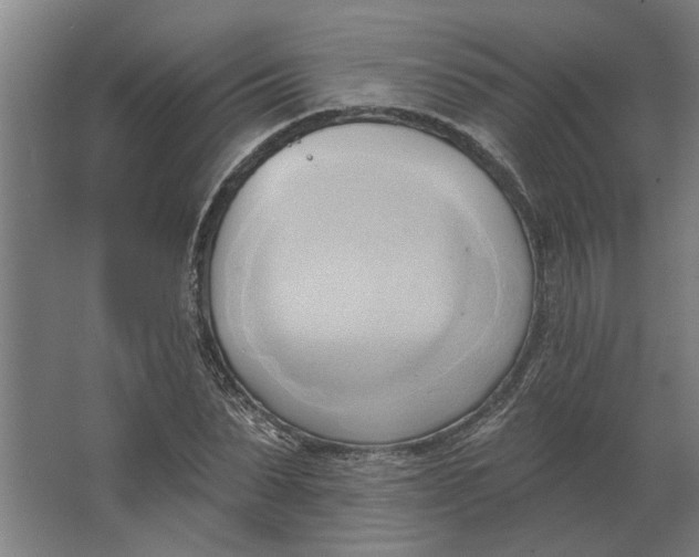 X0000062910879200601271737