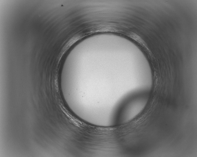 X0000062910882200601271737