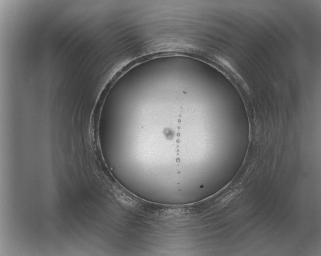 X0000062910883200601271737