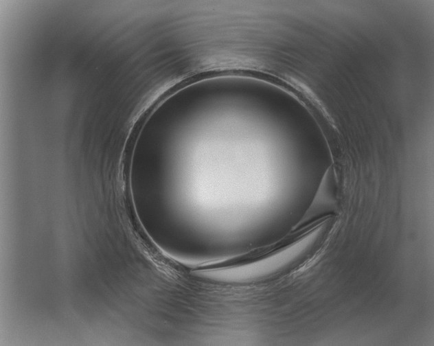 X0000062910885200601271736