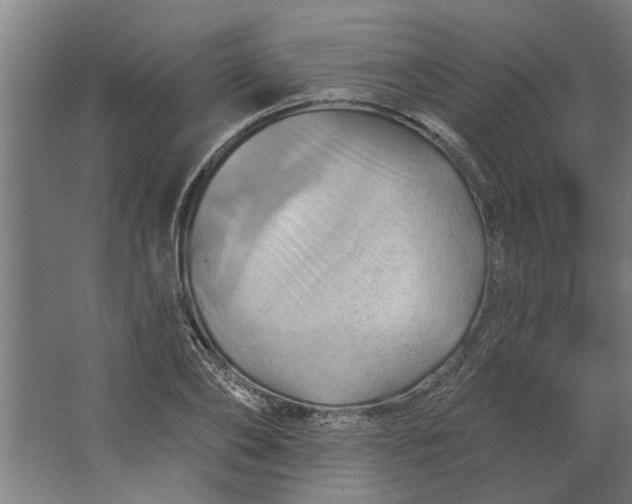 X0000062910886200601271736