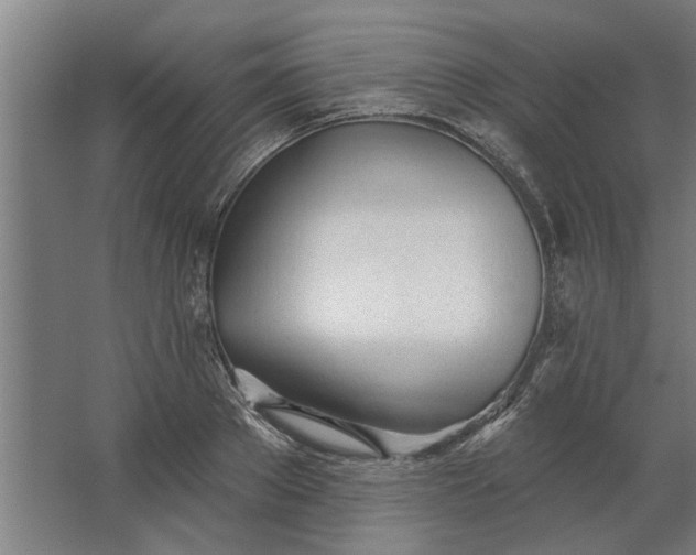 X0000062910889200601271736