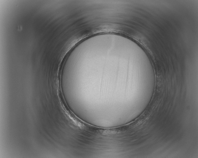 X0000062910890200601271736