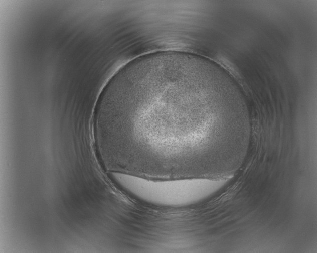 X0000062910891200601271736