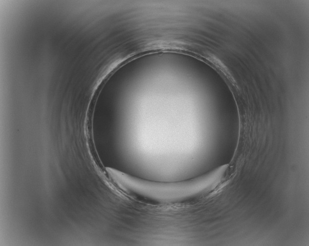 X0000062910893200601271736