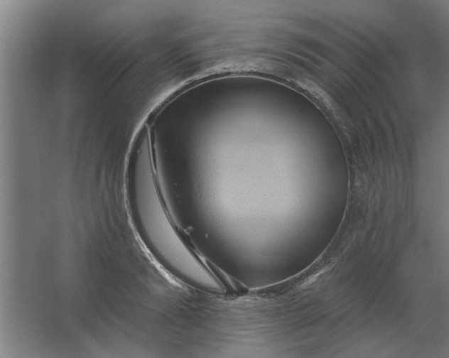 X0000062910894200601271736