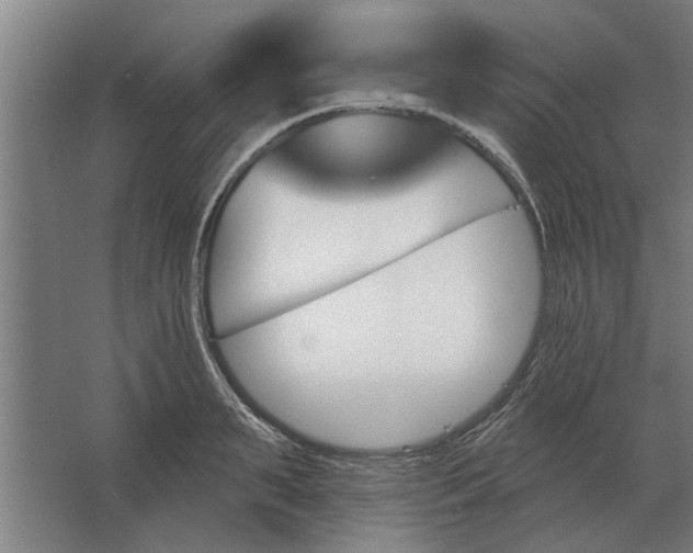 X0000062910895200601271736