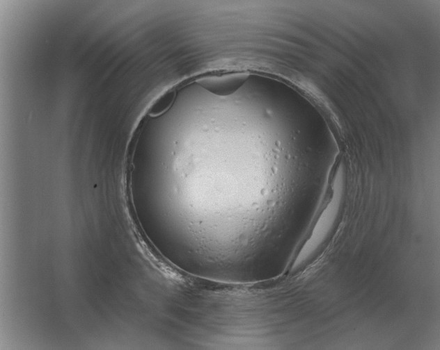 X0000062910896200601271736