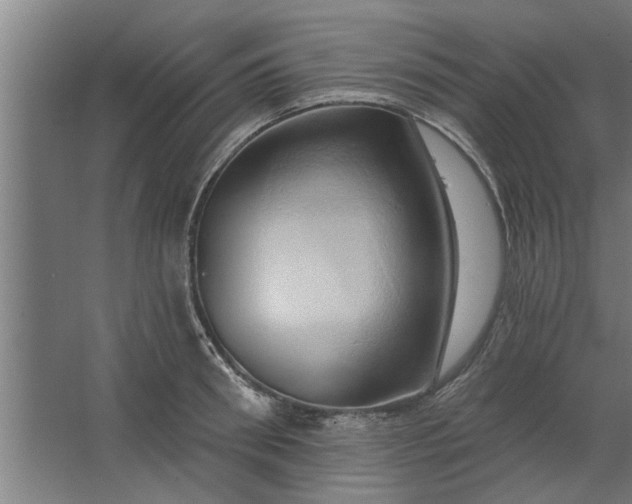 X0000062910898200601271736