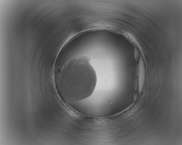 X0000062910899200601271736