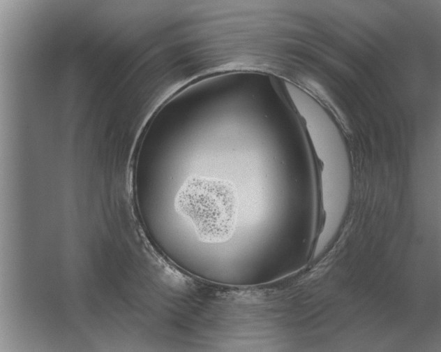 X0000062910900200601271736