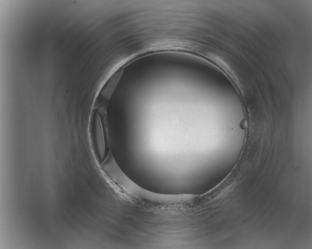 X0000062910901200601271736