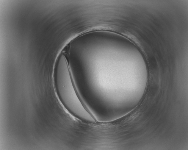 X0000062910902200601271736