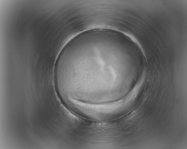 X0000062910903200601271736