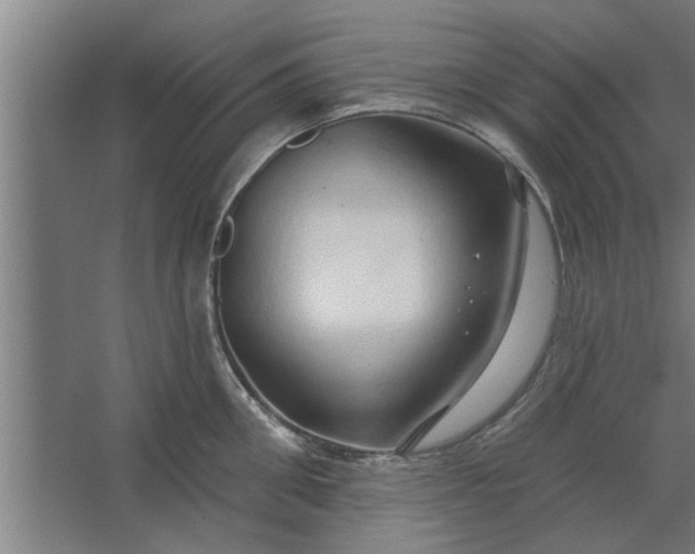 X0000062910906200601271736