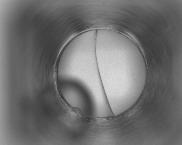 X0000062910907200601271736