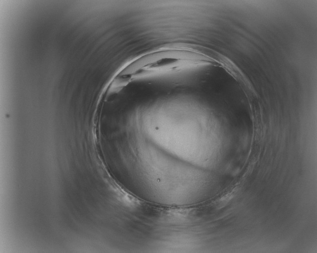 X0000062910908200601271736