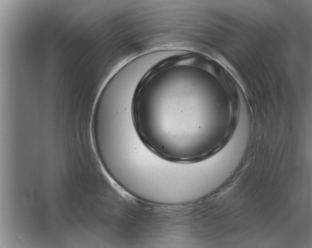 X0000062910909200601271736