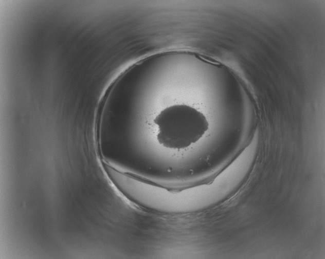 X0000062910910200601271736