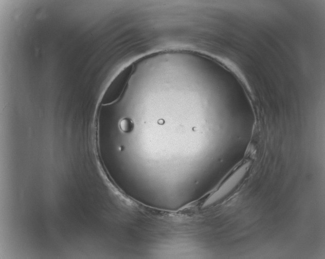 X0000062910911200601271736