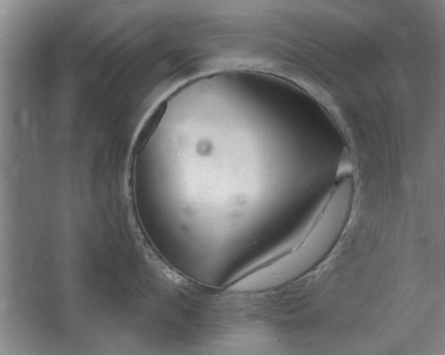 X0000062910912200601271736