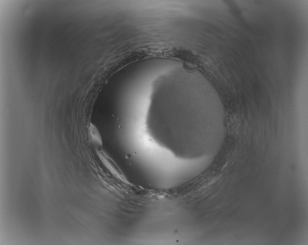 X0000062910913200601271735