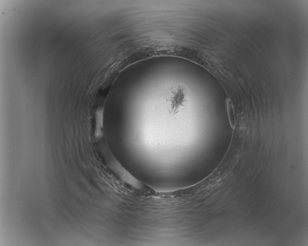 X0000062910916200601271735