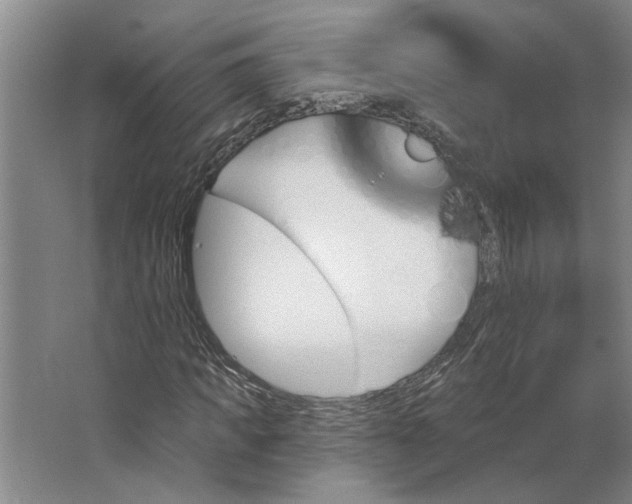 X0000062910917200601271735