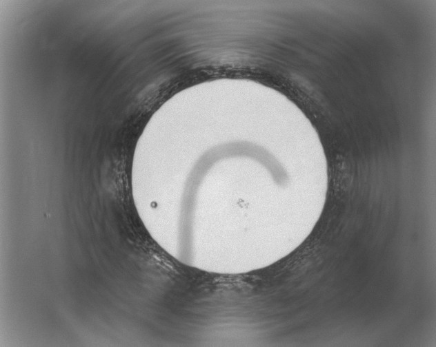 X0000062910918200601271735