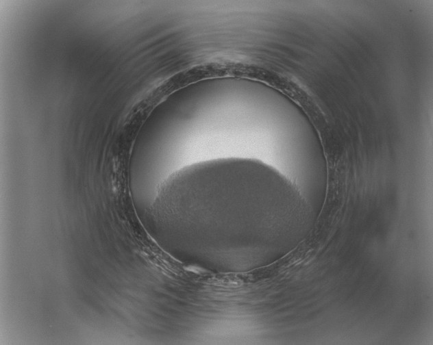 X0000062910919200601271735