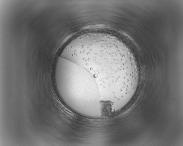 X0000062910921200601271735