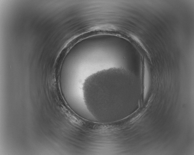 X0000062910923200601271735