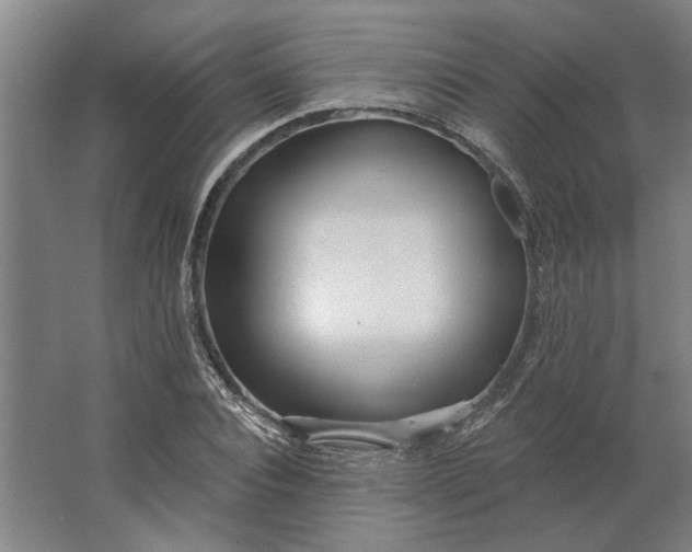 X0000062910928200601271735