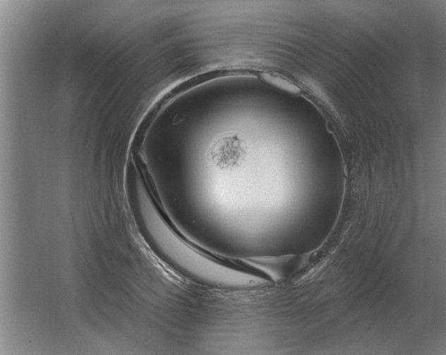 X0000062910932200601271736