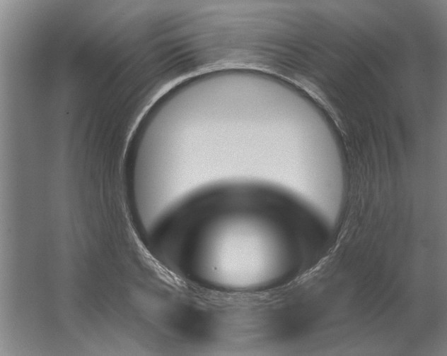 X0000062910934200601271736