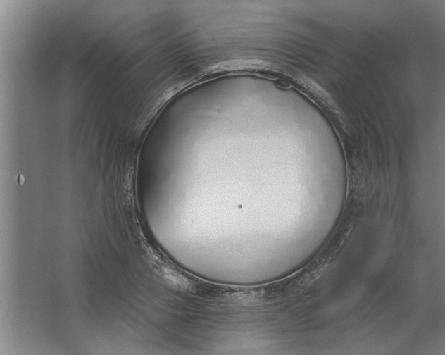 X0000062910937200601271736