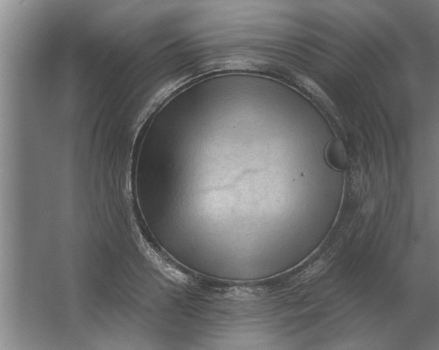 X0000062910938200601271736