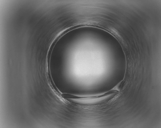 X0000062910940200601271736