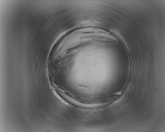 X0000062910941200601271736