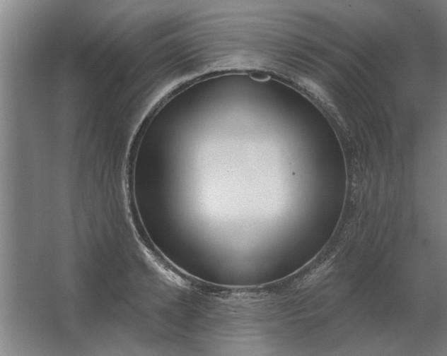 X0000062910942200601271736